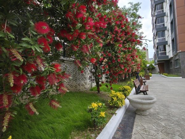 İSTANBUL SULTANGAZİDE SİTE İÇERİSİNDE 4+1 LÜKS SATILIK DAİRE - fotoğraf 8